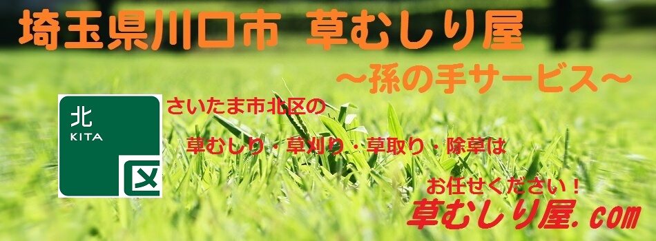 ̎T[rX